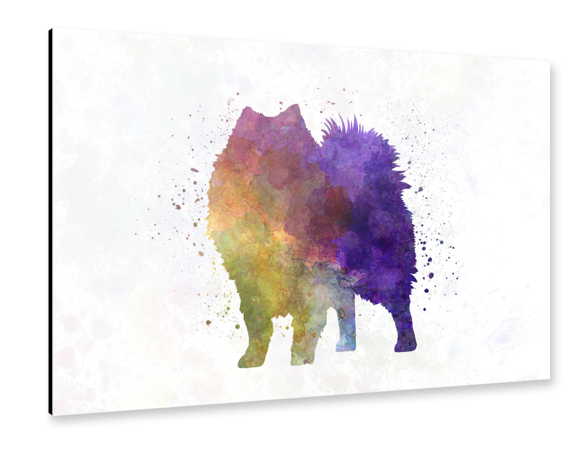 Alu-Dibond "Japanese Spitz in watercolor" 75x50 cm artboxONE