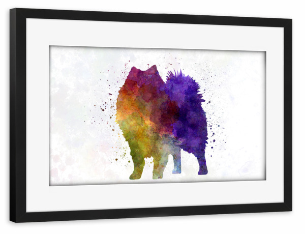 Poster mit Rahmen schwarz "Japanese Spitz in watercolor" artboxONE - Tiere,Abstrakt