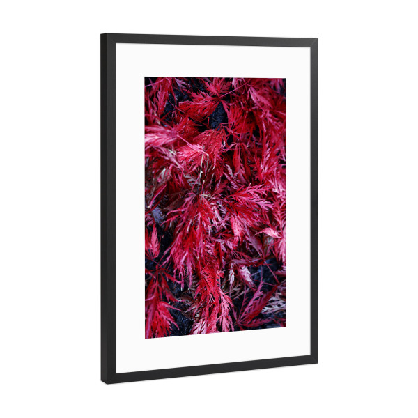 Poster mit Rahmen Schwarz (Metallic) "Abstrakte rote Blätter" artboxONE - Natur,Floral,Abstrakt,Geometrie