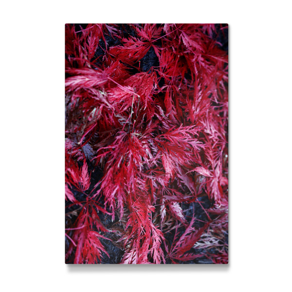Galerie-Print "Abstrakte rote Blätter" 30x20 cm artboxONE