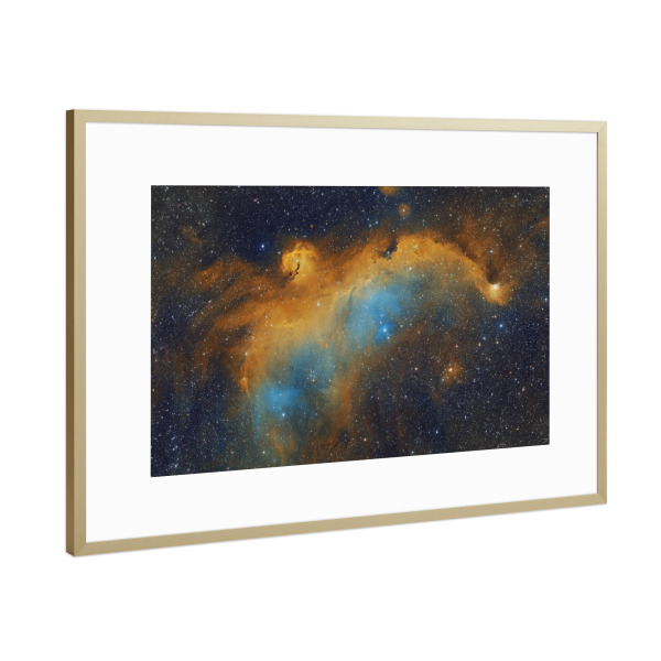 Poster mit Rahmen Gold "Möwennebe" artboxONE - Galaxy