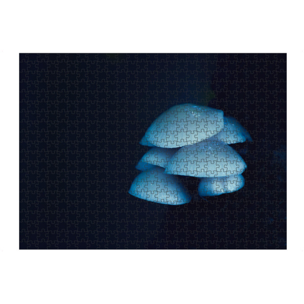 artboxONE Puzzle "Leuchtener Pilz" artboxONE - Natur