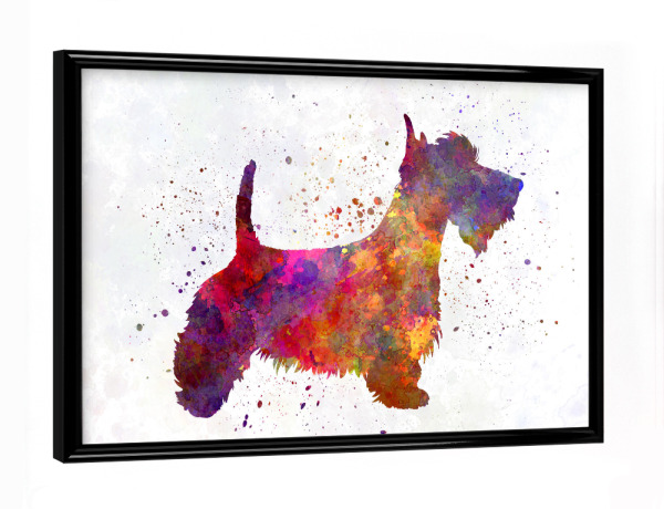 Poster mit schwarzem Rahmen "Scottish Terrier in watercolor" artboxONE - Tiere,Abstrakt
