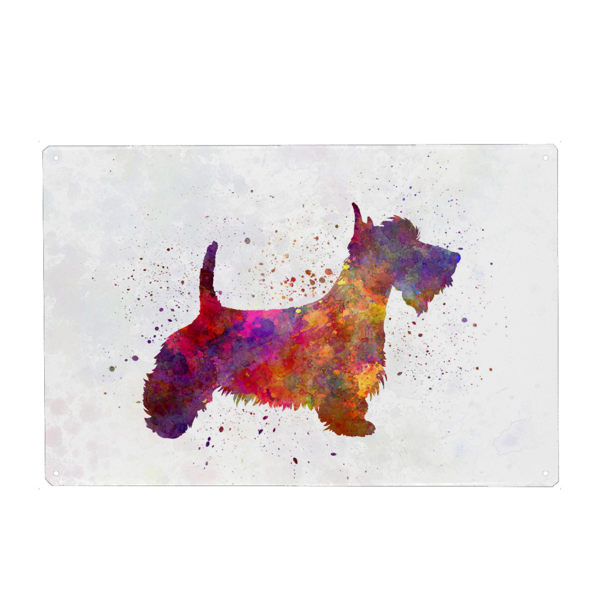 Metall Poster "Scottish Terrier in watercolor" artboxONE - Tiere,Abstrakt - Dog,Pet,Mammal,Watercolor,Abstract,Hund,Animal,Tier,Bunt,Colorful