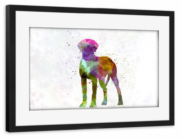 Poster mit Rahmen schwarz "Rhodesian Ridgeback in watercolor" artboxONE - Tiere,Abstrakt