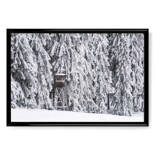 Hochsitz, Bäume und Schnee Hochsitz, Bäume und Schnee