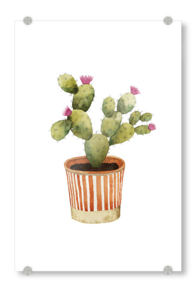 Acrylglasbild "Blooming Potted Cactus" artboxONE - Natur,Floral