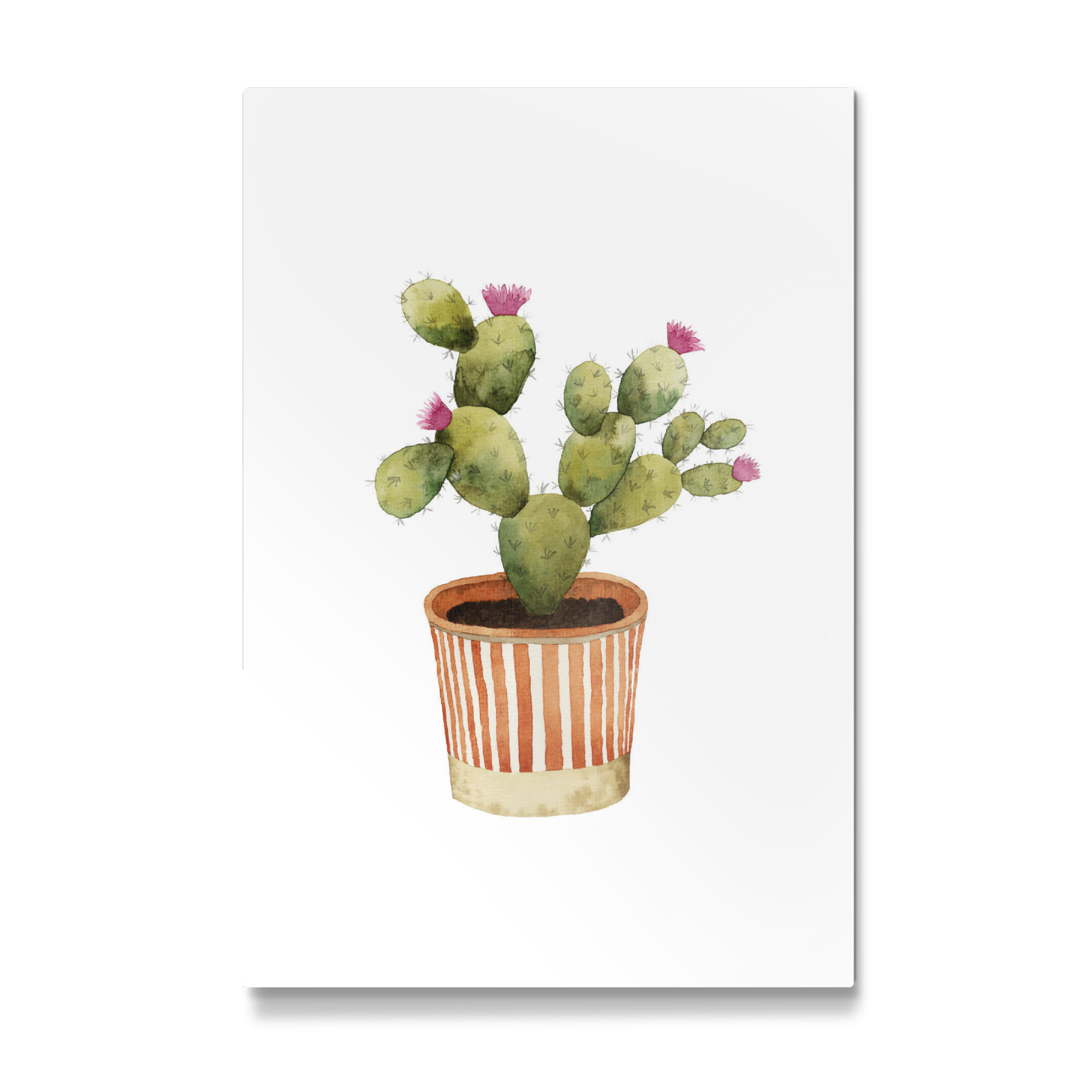 Galerie-Print "Blooming Potted Cactus" 75x50 cm artboxONE