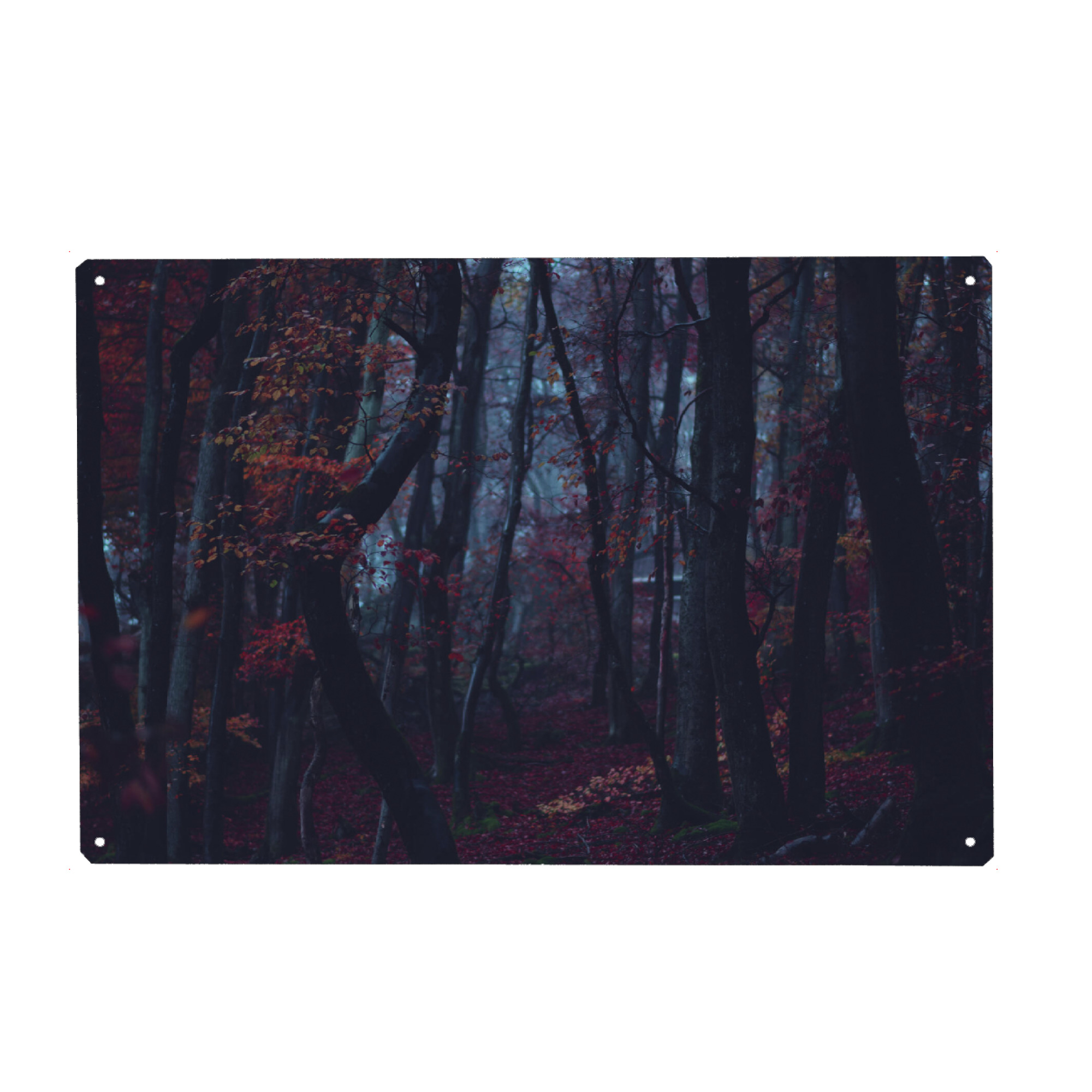 Metall Poster "Herbstliche Wälder" artboxONE - Natur