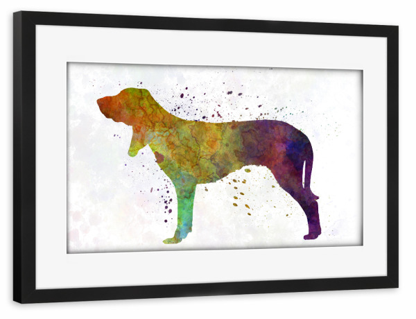 Poster mit Rahmen schwarz "Swiss Hound in watercolor" artboxONE - Tiere,Abstrakt
