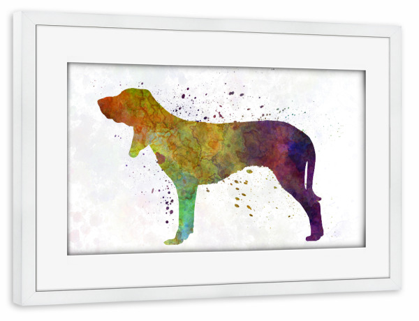Poster mit Rahmen weiß "Swiss Hound in watercolor" artboxONE - Tiere,Abstrakt - Dog,Dogs,Pet,Animal,Mammal,Watercolor,Abstract,Bunt,Colorful,Hund,Tier