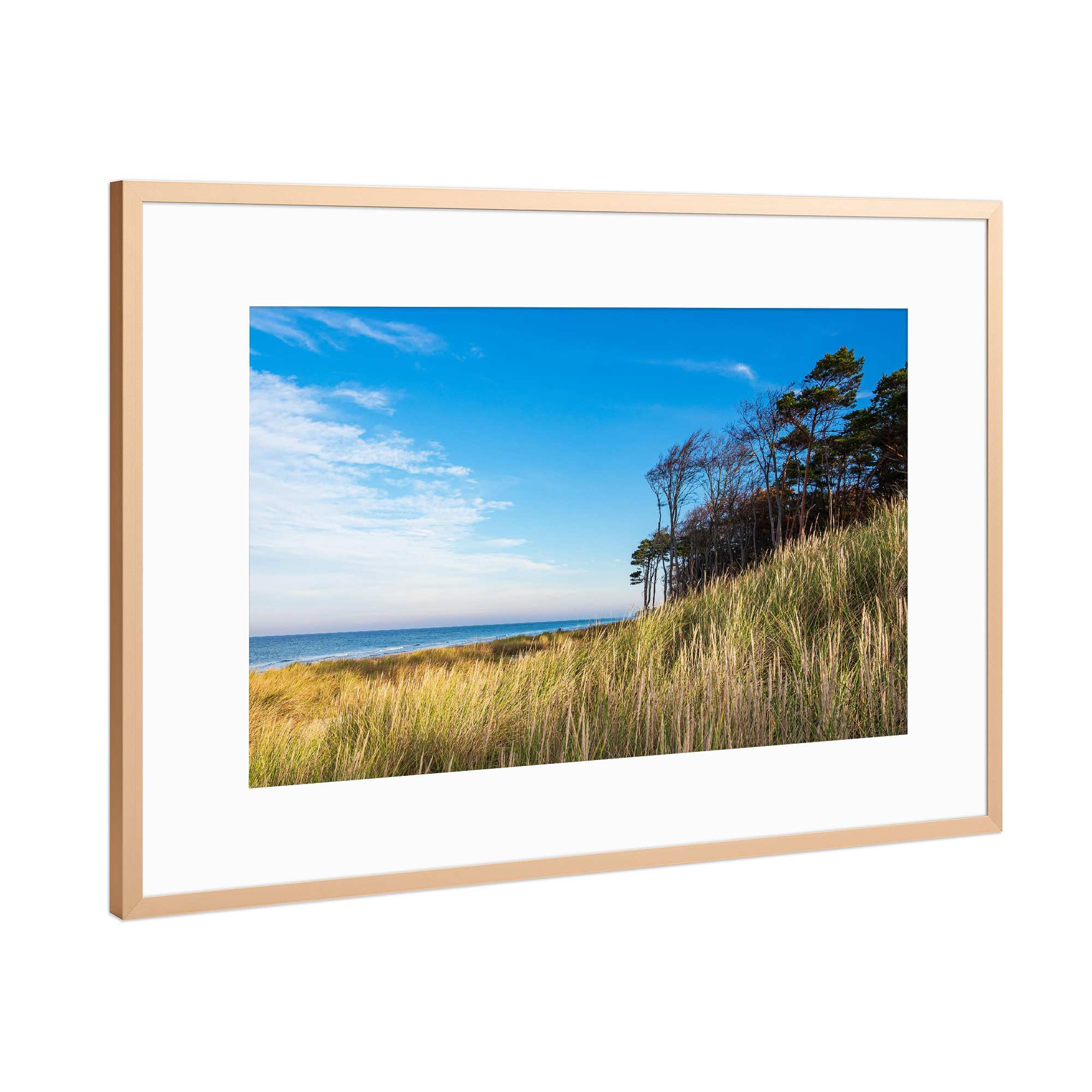 Poster mit Rahmen Kupfer "Düne, Bäume und Strand" artboxONE - Natur,Reise,Reise / Strand und Meer