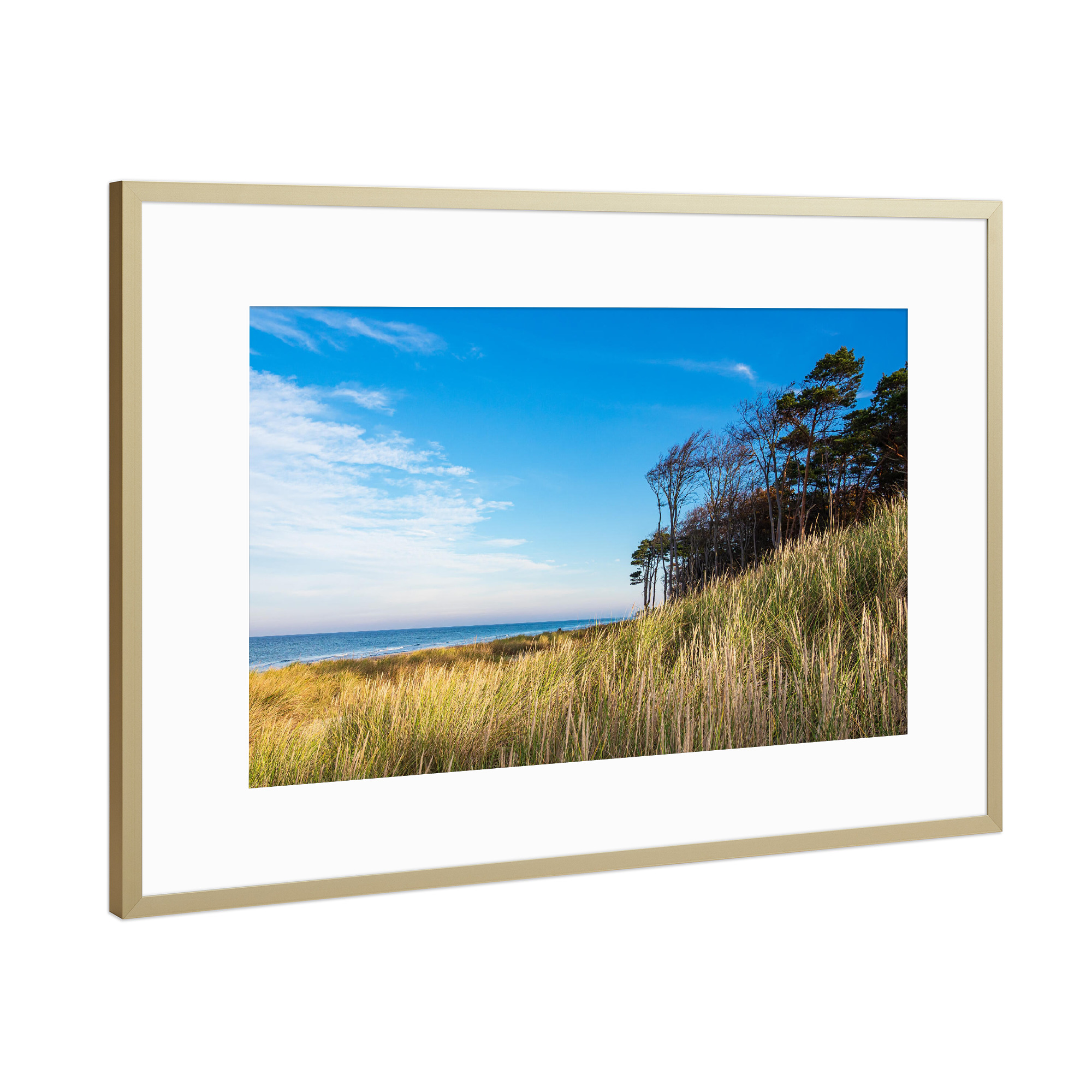 Poster mit Rahmen Gold "Düne, Bäume und Strand" artboxONE - Natur,Reise,Reise / Strand und Meer