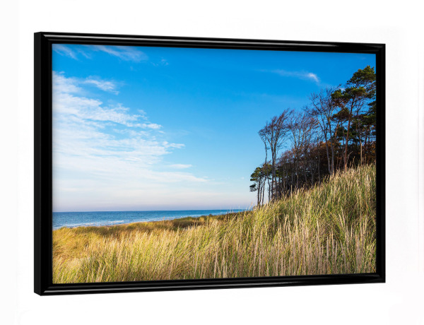 Poster mit schwarzem Rahmen "Düne, Bäume und Strand" artboxONE - Natur,Reise,Reise / Strand und Meer