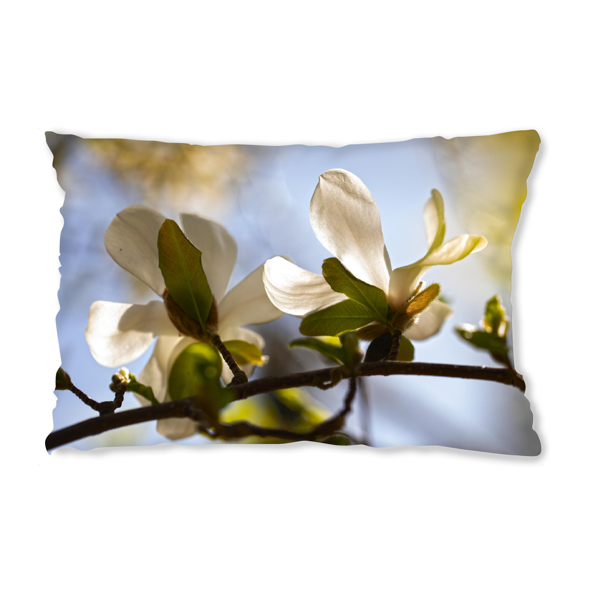 Design-Kissen "Magnolienblüte" artboxONE - Natur,Floral