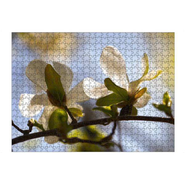 Puzzle Ravensburger "Magnolienblüte" artboxONE - Natur,Floral