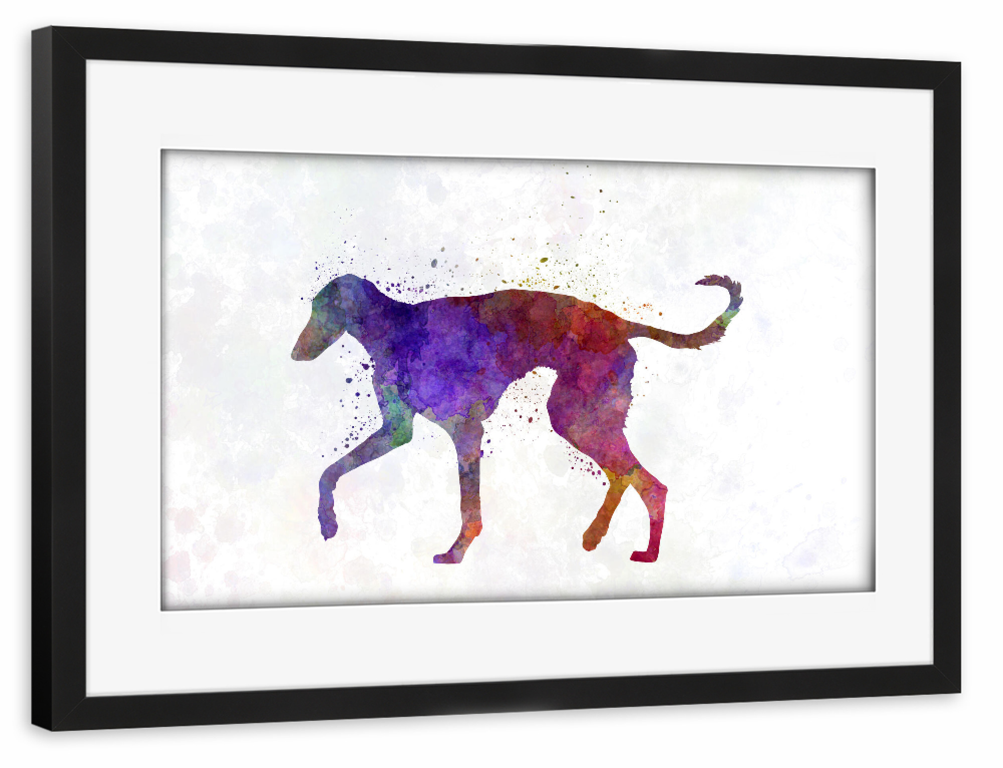 Poster mit Rahmen schwarz "Polish Greyhound in watercolor" artboxONE - Tiere,Abstrakt