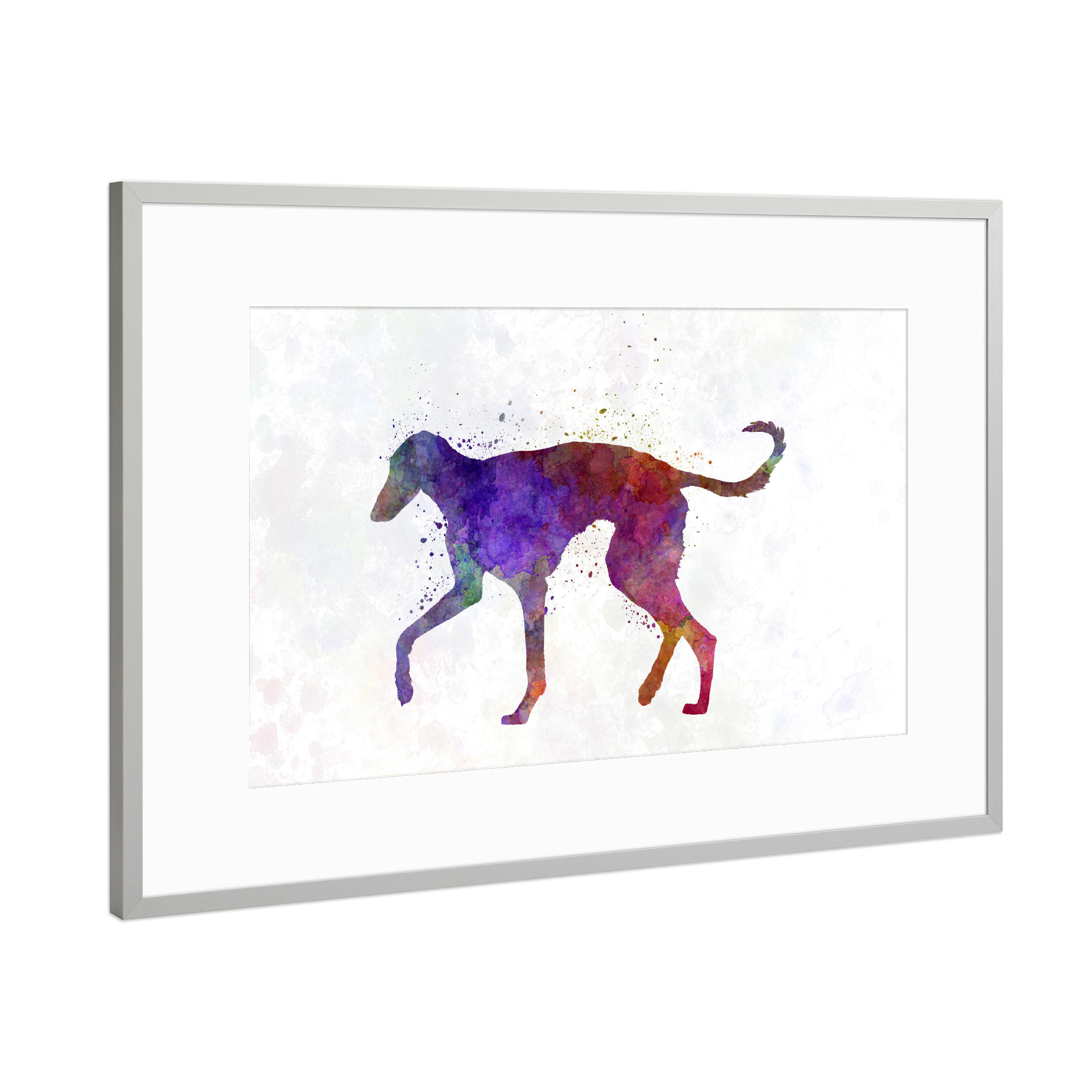 Poster mit Rahmen Silber "Polish Greyhound in watercolor" artboxONE - Tiere,Abstrakt