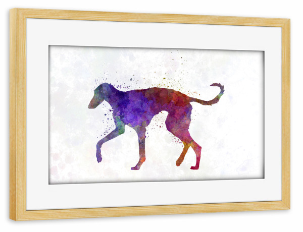 Poster mit Rahmen kiefer "Polish Greyhound in watercolor" artboxONE - Tiere,Abstrakt