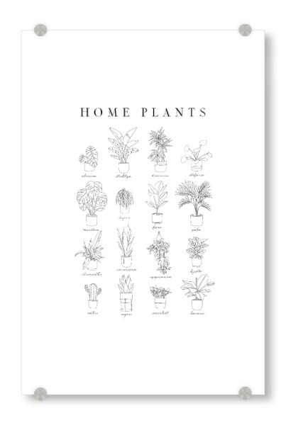 Acrylglasbild "Linear home plants" artboxONE - Natur