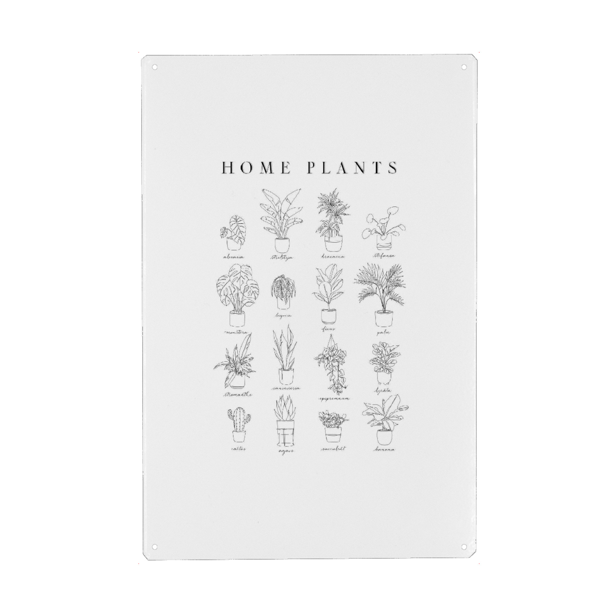 Metall Poster "Linear home plants" artboxONE - Natur