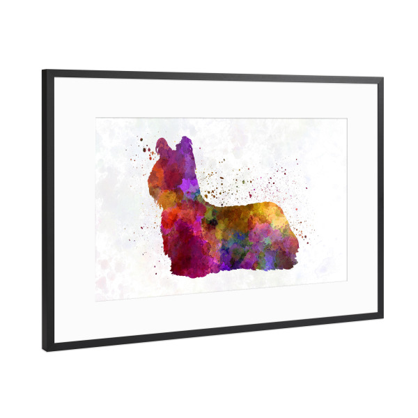 Poster mit Rahmen Schwarz (Metallic) "Skye Terrier in watercolor" artboxONE - Tiere,Abstrakt