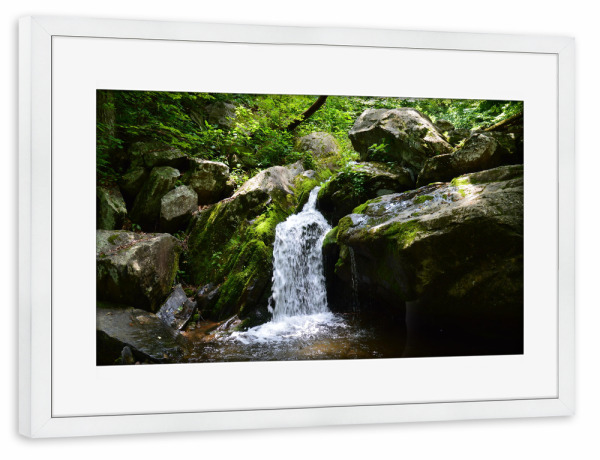 Poster mit Rahmen weiß "Der Wasserfall im grünen Wald" artboxONE - Natur