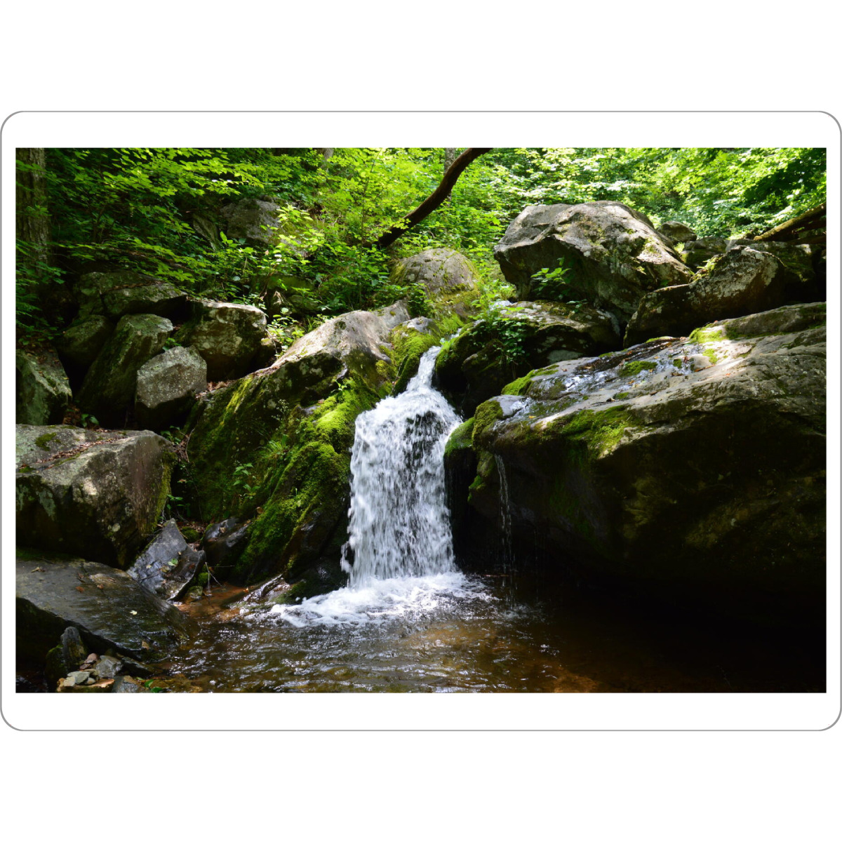 Tischset "Der Wasserfall im grünen Wald" artboxONE - Natur