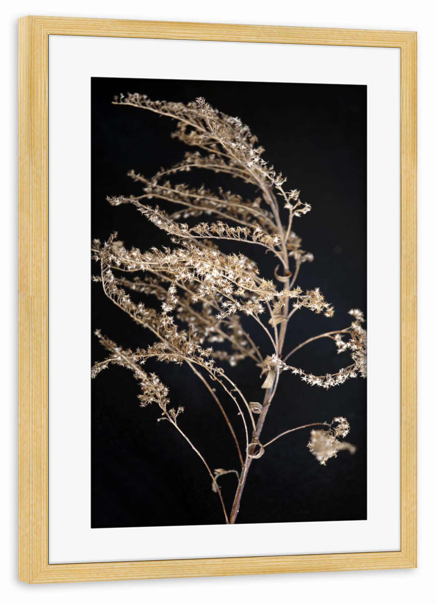 Poster mit Rahmen kiefer "Wildblume Beige und Schwarz" artboxONE - Natur,Floral,Abstrakt,Schwarzweiß