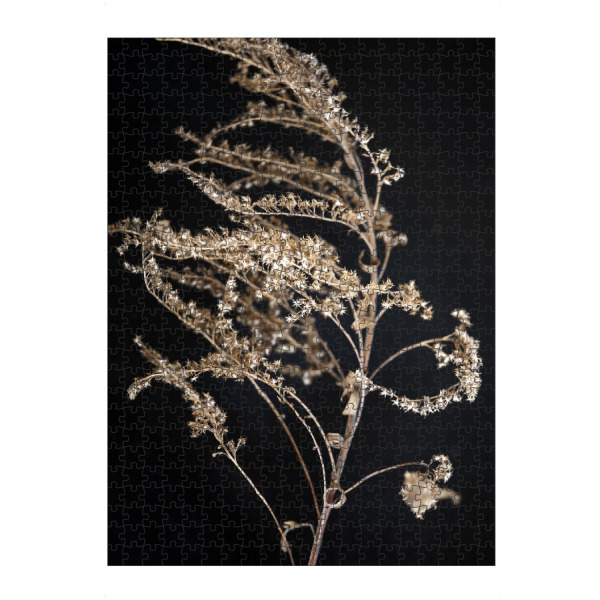 artboxONE Puzzle "Wildblume Beige und Schwarz" artboxONE - Natur,Floral,Abstrakt,Schwarzweiß