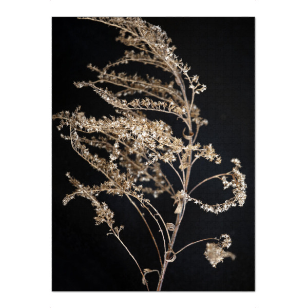 Puzzle Ravensburger "Wildblume Beige und Schwarz" artboxONE - Natur,Floral,Abstrakt,Schwarzweiß