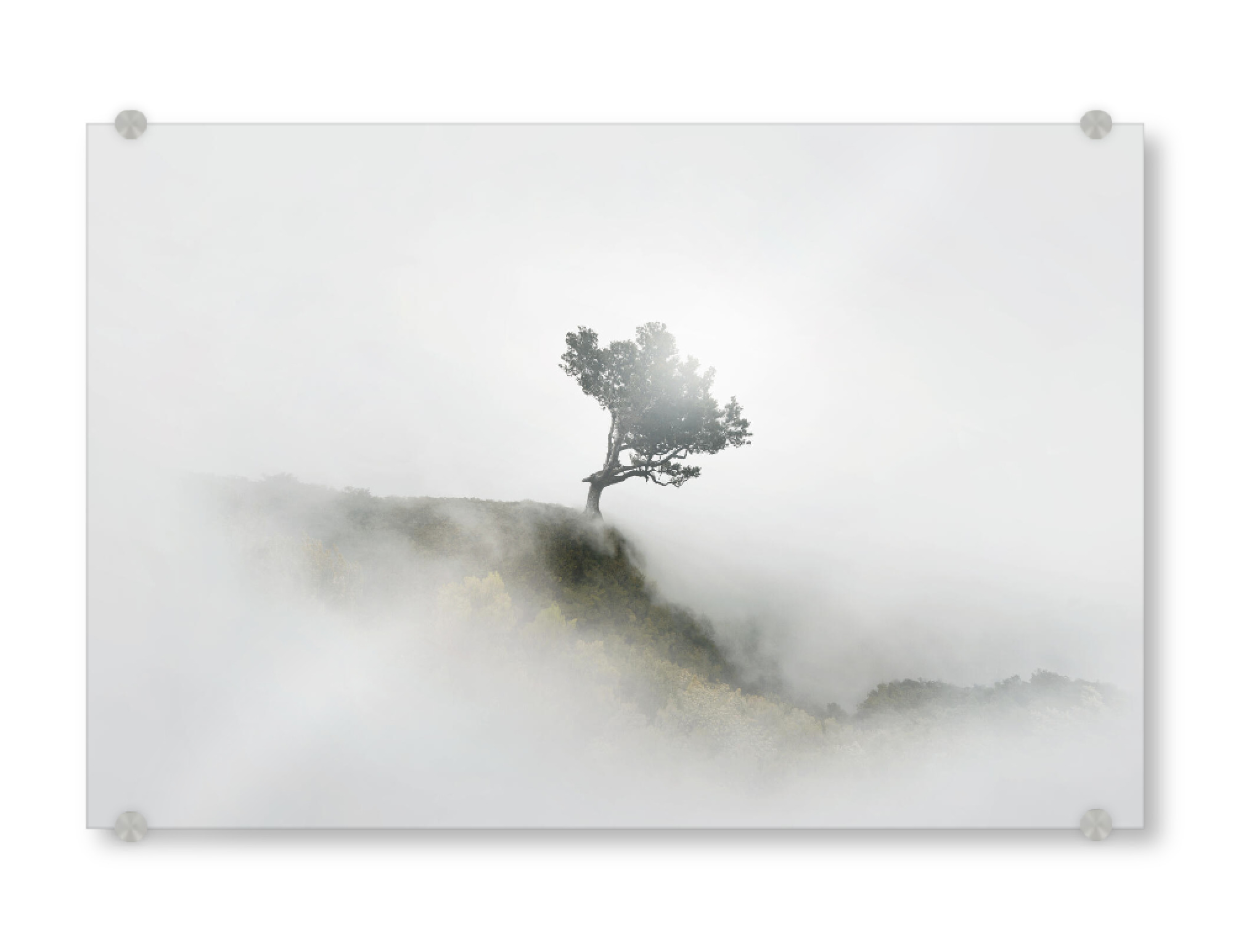 Acrylglasbild "NEBEL" artboxONE - Natur - Fog,Nebel,Allgäu,Fine art,Madeira,Mood,Sunlight,Baum,Tree