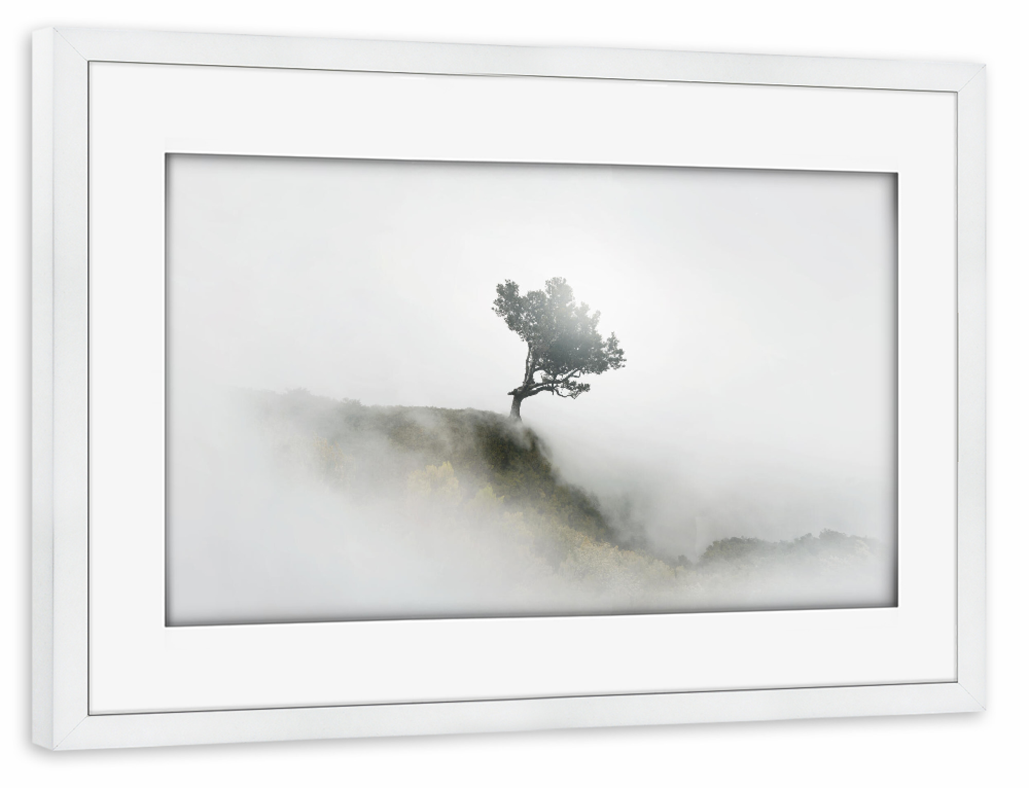 Poster mit Rahmen weiß "NEBEL" artboxONE - Natur - Fog,Nebel,Allgäu,Fine art,Madeira,Mood,Sunlight,Baum,Tree