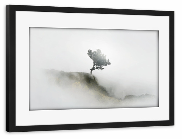 Poster mit Rahmen schwarz "NEBEL" artboxONE - Natur - Fog,Nebel,Allgäu,Fine art,Madeira,Mood,Sunlight,Baum,Tree