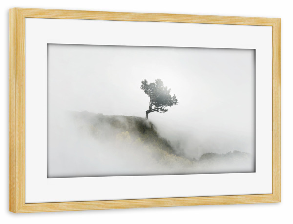 Poster mit Rahmen kiefer "NEBEL" artboxONE - Natur - Fog,Nebel,Allgäu,Fine art,Madeira,Mood,Sunlight,Baum,Tree