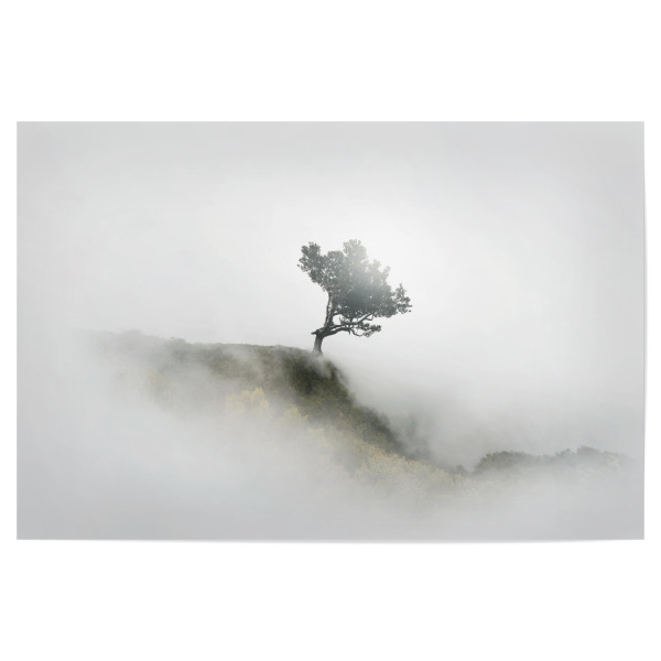 Poster "NEBEL" artboxONE - Natur - Fog,Nebel,Allgäu,Fine art,Madeira,Mood,Sunlight,Baum,Tree