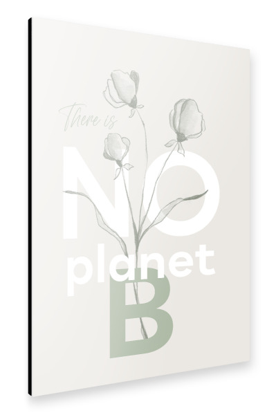 Alu-Dibond "Es gibt keinen Planeten B" 30x20 cm artboxONE