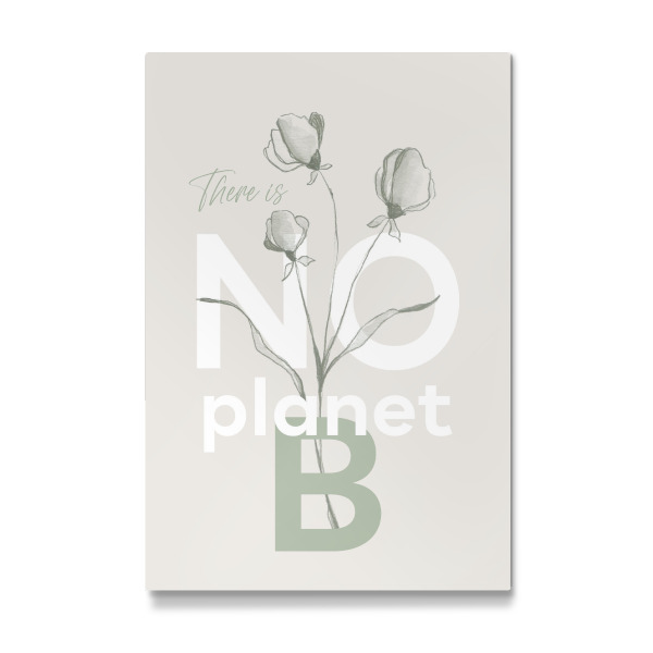 Galerie-Print "Es gibt keinen Planeten B" 30x20 cm artboxONE