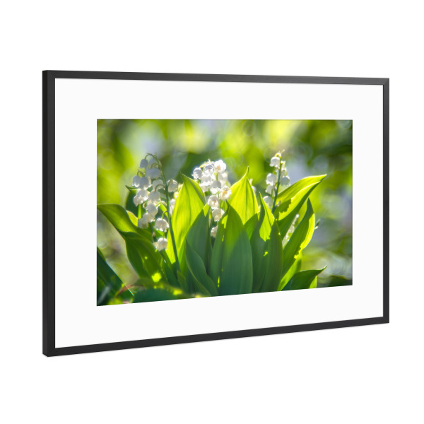Poster mit Rahmen Schwarz (Metallic) "Maiglöckchen" artboxONE - Floral