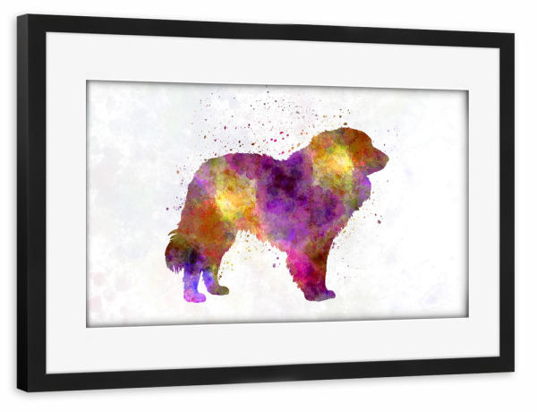 Poster mit Rahmen schwarz "Estrela Mountain Dog in watercolor" artboxONE - Tiere,Abstrakt