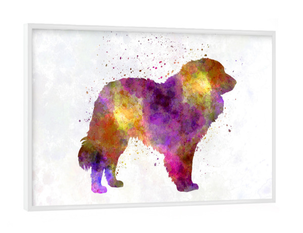 Poster mit weißem Rahmen "Estrela Mountain Dog in watercolor" artboxONE - Tiere,Abstrakt