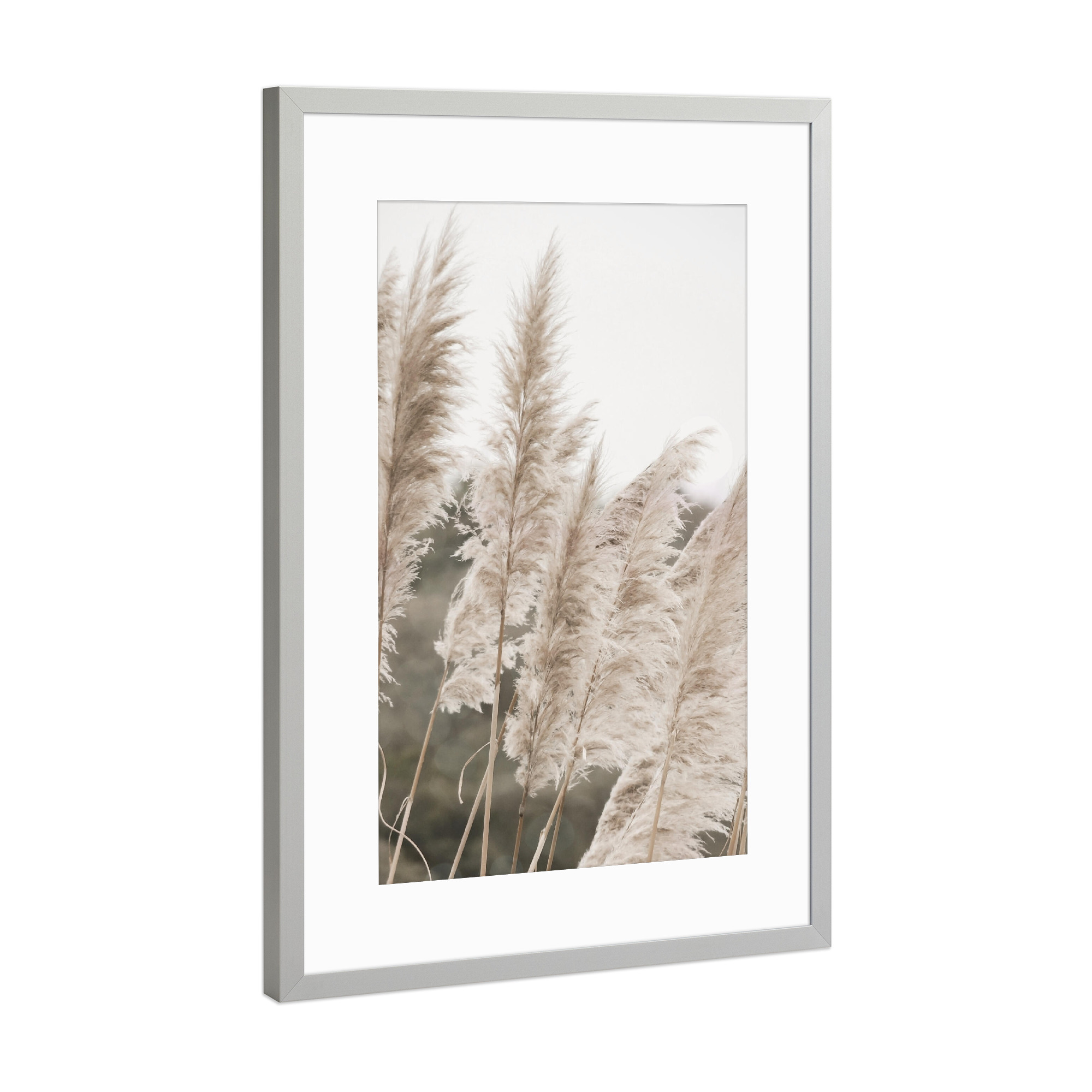 Poster mit Rahmen Silber "Sunny Pampas" artboxONE - Natur,Floral