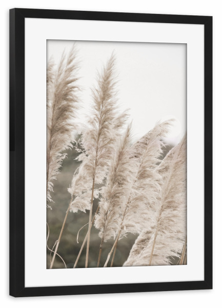 Poster mit Rahmen schwarz "Sunny Pampas" artboxONE - Natur,Floral