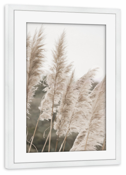 Poster mit Rahmen weiß "Sunny Pampas" artboxONE - Natur,Floral