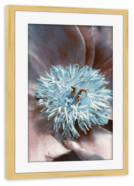 Poster mit Rahmen kiefer "Rustic peony" artboxONE - Natur,Floral