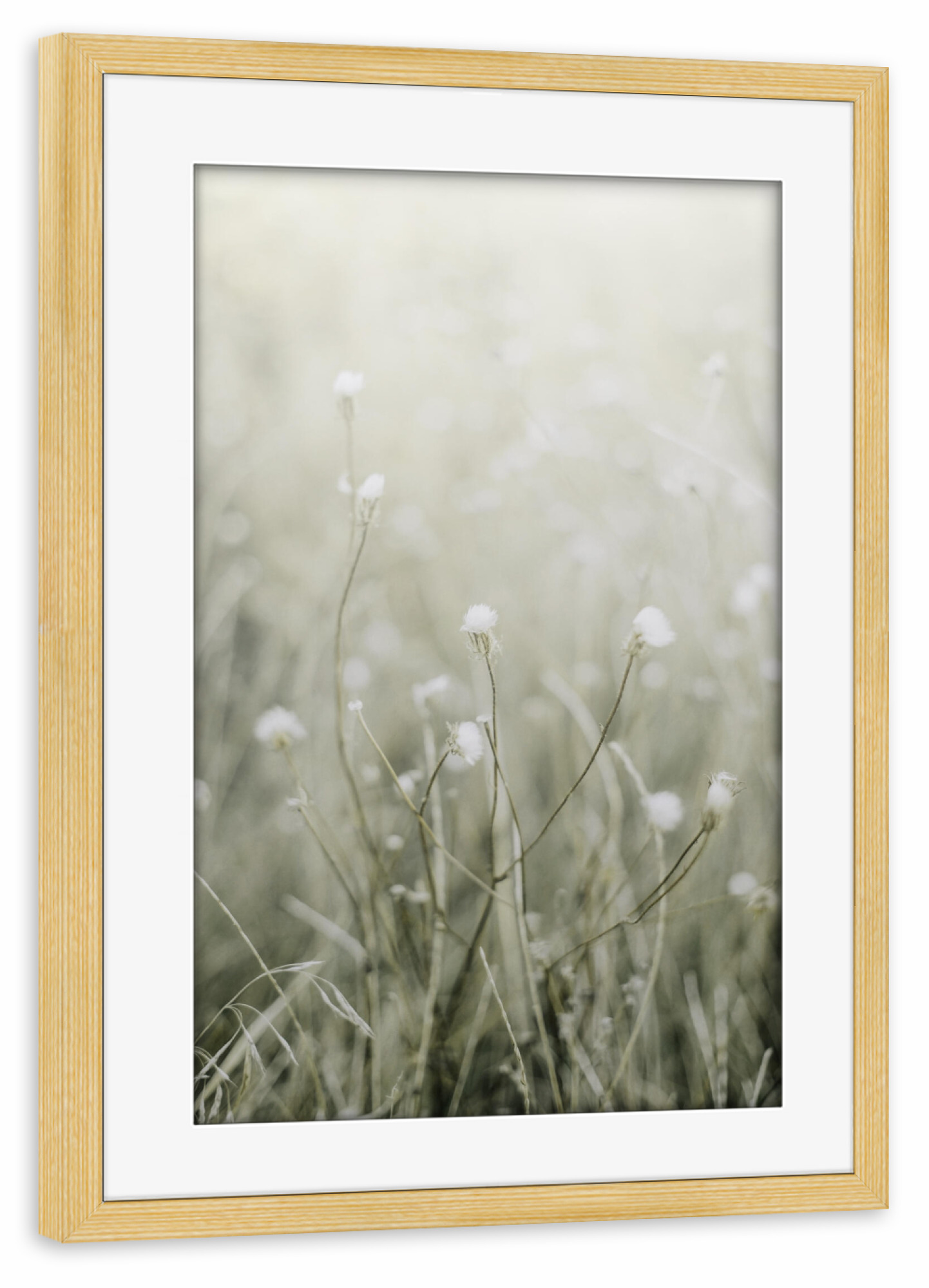 Poster mit Rahmen kiefer "Sunny Grass" artboxONE - Natur,Floral,Reise / Strand und Meer