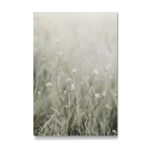 Galerie-Print "Sunny Grass" 30x20 cm artboxONE