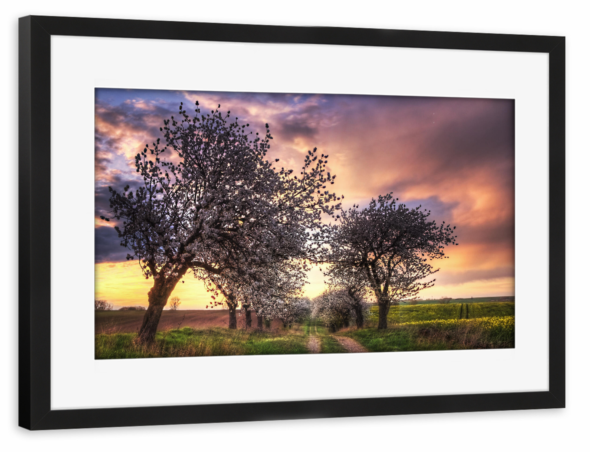 Poster mit Rahmen schwarz "Frühlingsweg" artboxONE - Natur,Floral