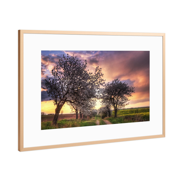 Poster mit Rahmen Kupfer "Frühlingsweg" artboxONE - Natur,Floral