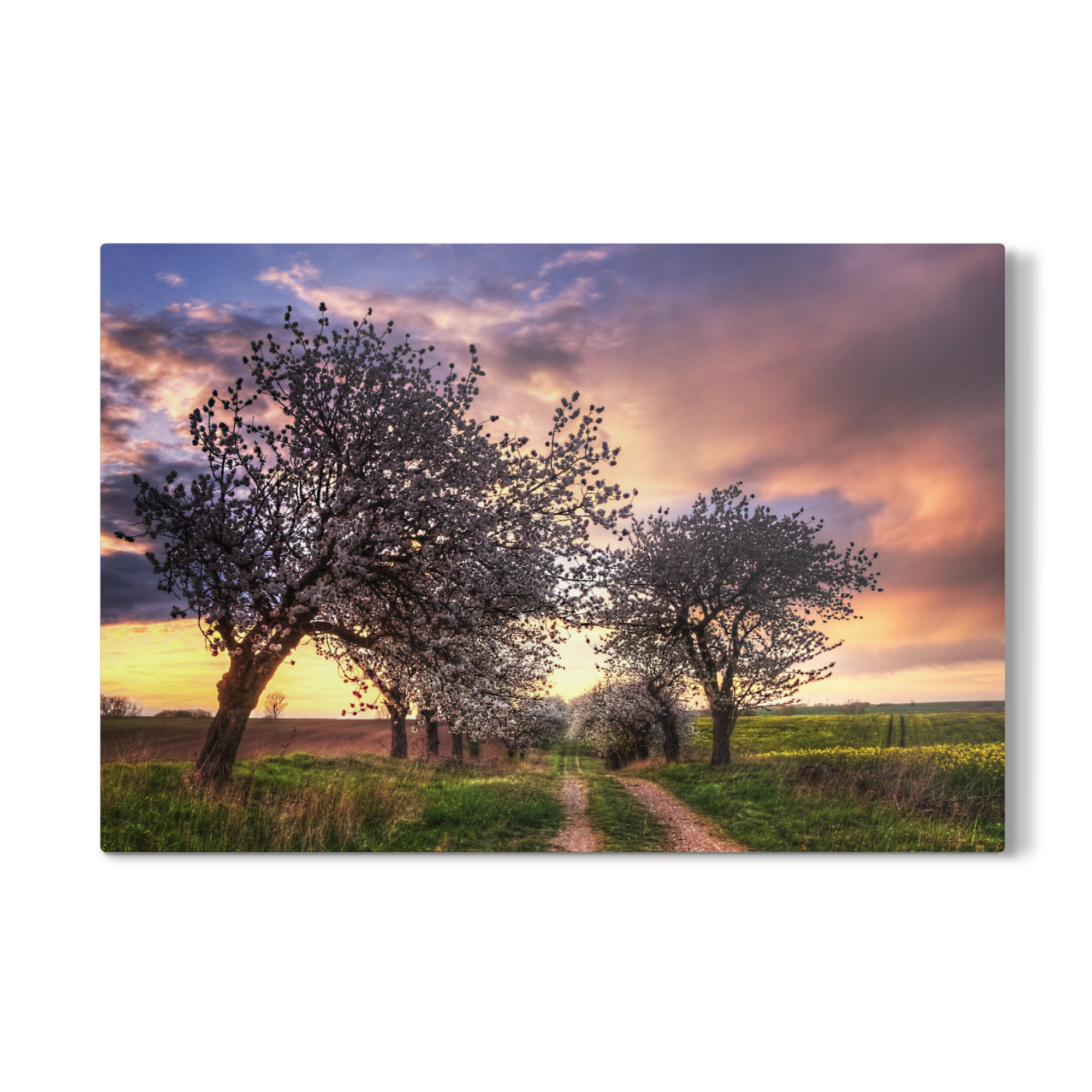 Galerie-Print "Frühlingsweg" 75x50 cm artboxONE